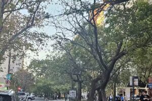 Nueva Córdoba Premium