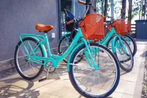 Olivos de Monte Resort & Spa