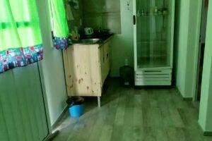 Oro verde ,Alquiler temporario