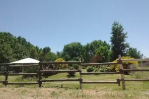 Osho Patagonia Resort – Cabañas del oriente. Centro de Meditación y desarrollo personal.