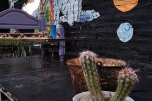 Pájaros Volando Hostel