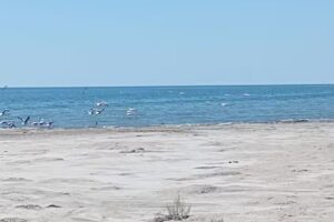 Parador Portal De Ansenuza