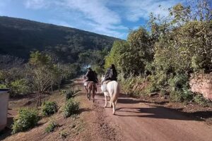 Paraíso De Las Yungas