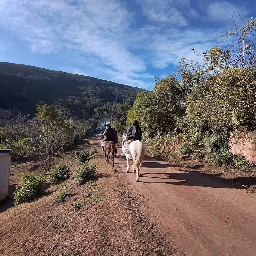 Paraíso De Las Yungas