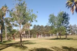 Parque Sarmiento Carcaraña