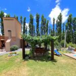 Pasillos del viñedo