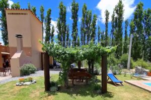 Pasillos del viñedo