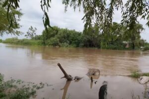 Paso De La Cina – Santiago del Estero