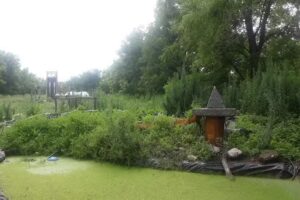 Pecanes de Cazon Saladillo