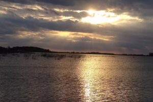 Pesquero Las Barrancas