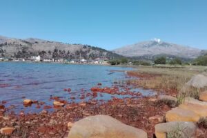 Pillán Quidú Cabañas