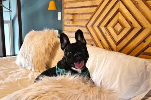 Pioneros Suites by Grupo Tierra Gaucha