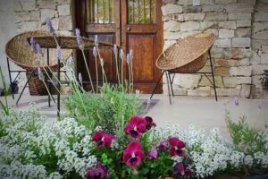 Pistacho Club Eco Lodge