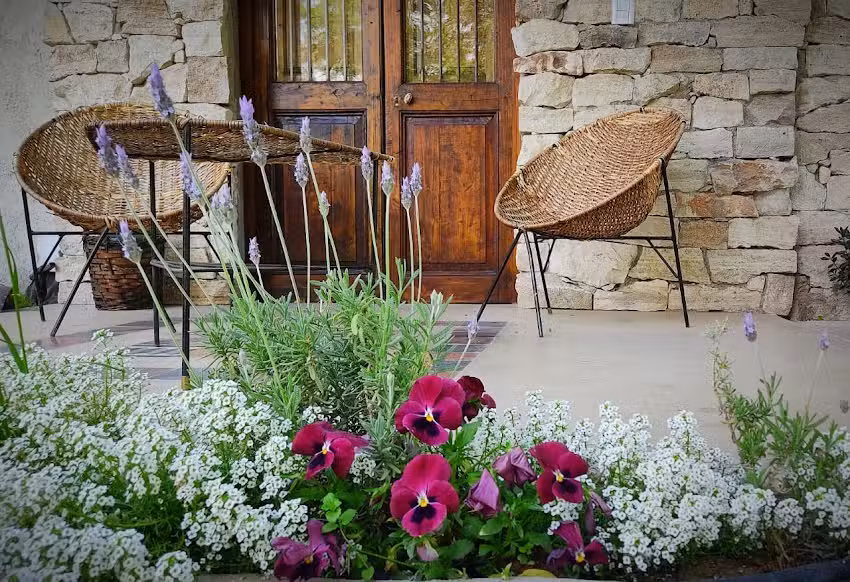 Pistacho Club Eco Lodge