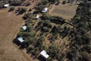 Portezuelo de arboles