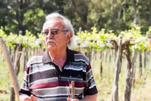 Posada Bodega Apotema