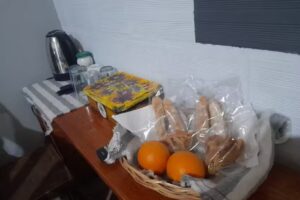 Posada casa del árbol