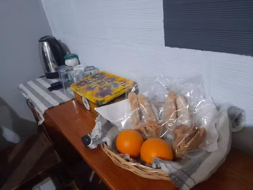 Posada casa del árbol