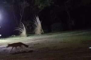 Posada Claro de Luna