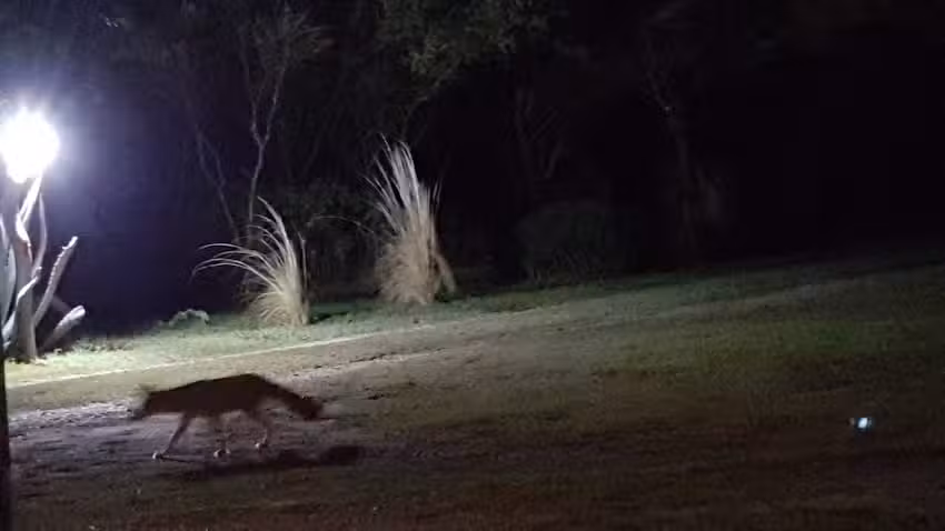 Posada Claro de Luna