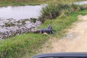 POSADA de CAMPO Estancia Itatí Dormitorios Amplios con Baño Privado