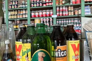 Posada de campo Mamúll Mapú