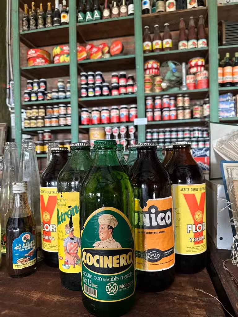 Posada de campo Mamúll Mapú