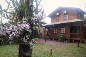 Posada de los arboles