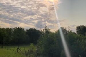 Posada “Don Jose”