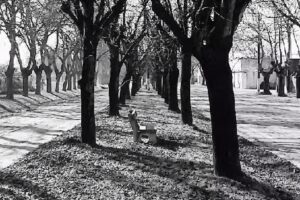 Posada El descanso – Casa de Campo