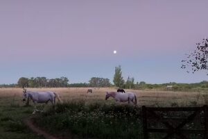 Posada Estancia La Mora