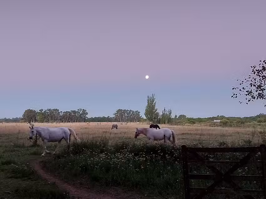 Posada Estancia La Mora