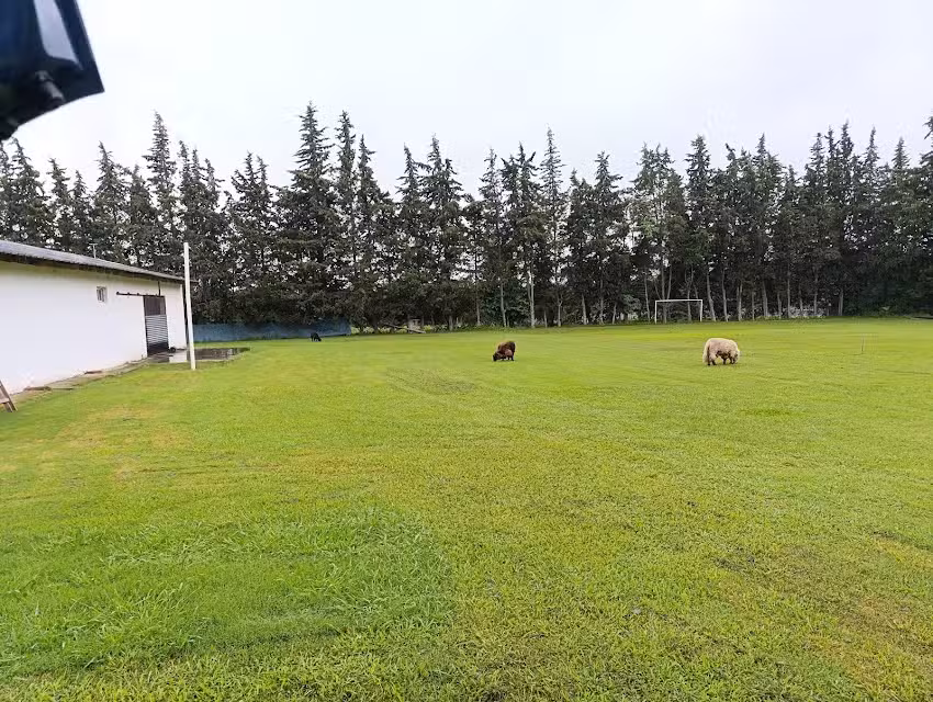 Posada La Amada