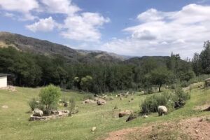 Posada Las Vertientes