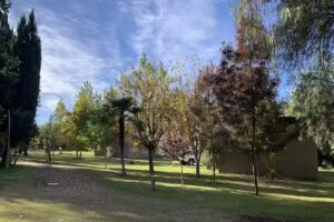 Posada Los Cipreses- Cabañas