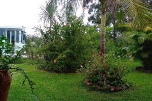 Posada Rancho Jabiru