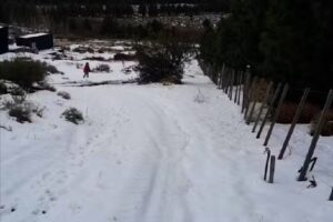 Posadas del Ñirihuau