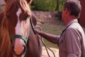 Potrerillo Pueblo De Montaña, Córdoba