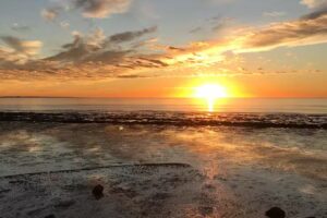 Promilea Complejo Playero