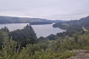 Pudú Moquehue Lodge
