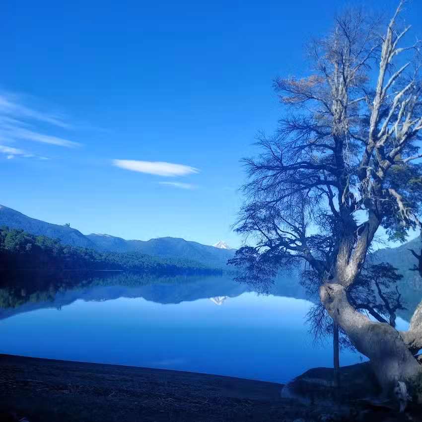 Puerto Lussich, Casa del Río
