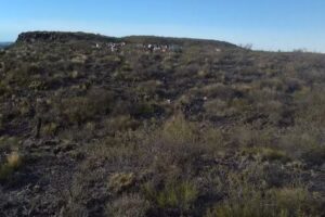 Puesto Agua Del Capataz