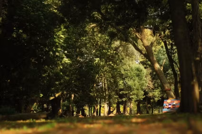 Puilquén Posada de Campo