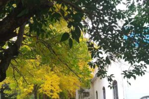 Que Lindo Lugar Complejo Turístico