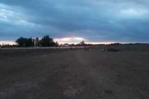 Quinta Cuna de Halcones