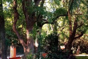 Quinta El Delirio (@casaquintaenmercedesb es nuestro instagram)