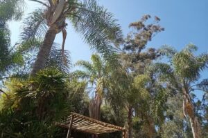 Quinta ¨El Matrero¨