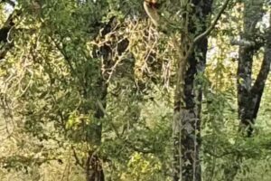 Quinta La Bienvenida CERRADO TEMPORALMENTE