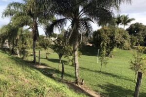 Quinta “Las Orquídeas”