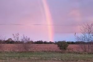 Quinta Los Eucaliptus